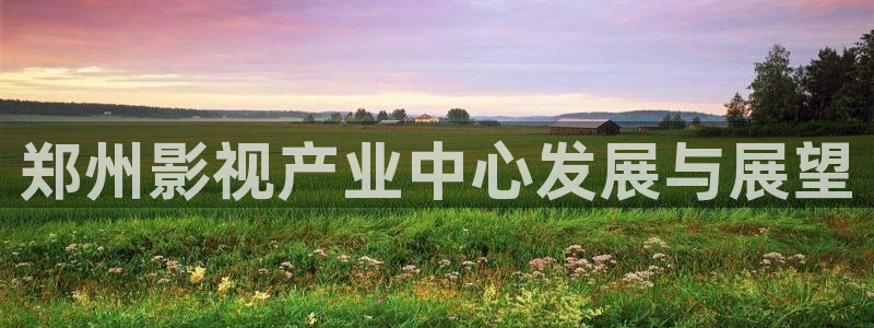 葫芦岛大地电影院：郑州影视产业中心发展与展望