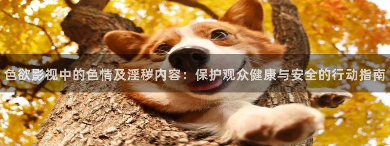 大地国际影城：色欲影视中的色情及淫秽内容：保护观众健康与安全的行动指南