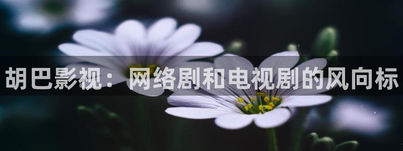 大地在线影视：胡巴影视：网络剧和电视剧的风向标