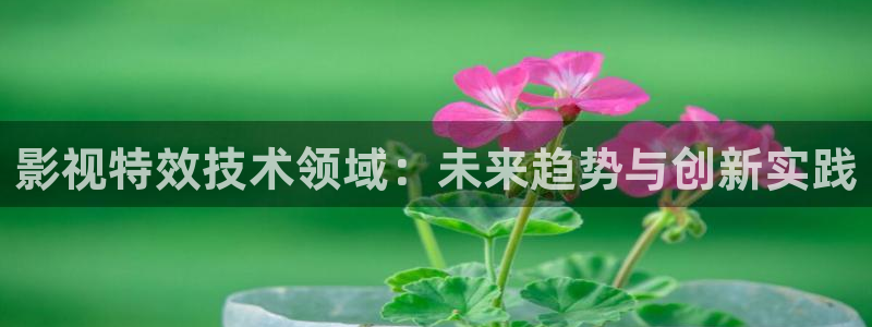 遂溪大地影院：影视特效技术领域：未来趋势与创新实践