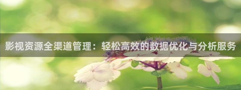 百大拓基大地影院影讯：影视资源全渠道管理：轻松高效的数据优化与分析服务