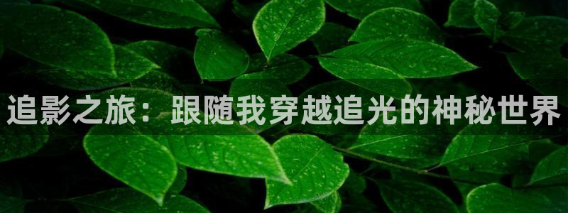 贺州大地影院影讯：追影之旅：跟随我穿越追光的神秘世界