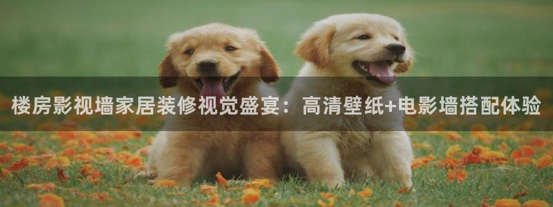 庐江大地影城今日影讯：楼房影视墙家居装修视觉盛宴：高清壁纸+电影墙搭配体验
