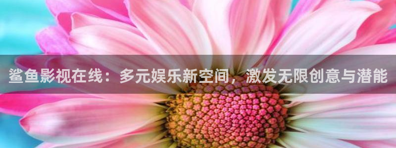 无锡大地影院：鲨鱼影视在线：多元娱乐新空间，激发无限创意与潜能