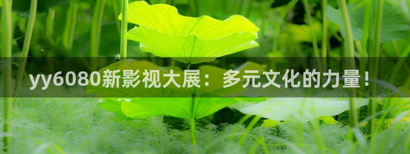 漳州大地影院：yy6080新影视大展：多元文化的力量！